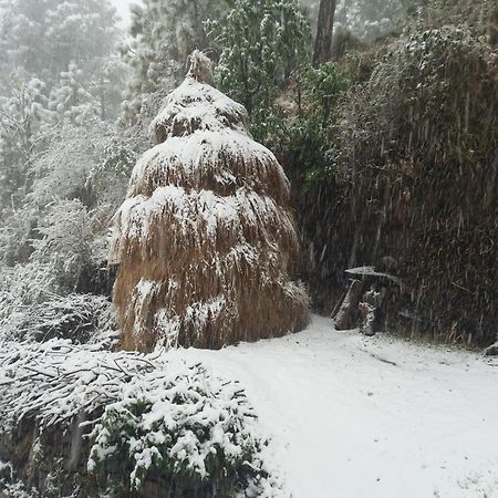 Ferienwohnung Aagaman Woods Shimla Exterior foto